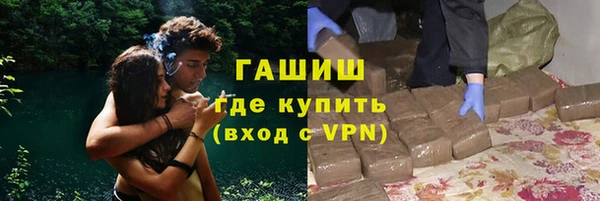 трава Гусиноозёрск