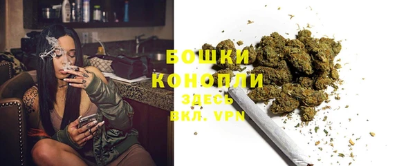 трава Гусиноозёрск