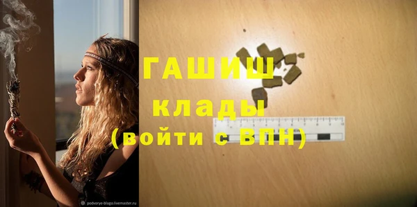 spice Гусев