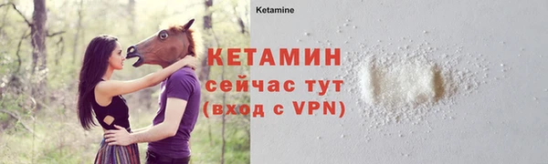 трава Гусиноозёрск