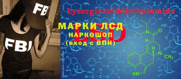 spice Гусев