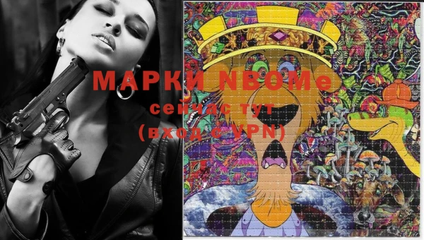 spice Гусев