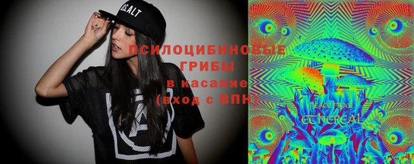 трава Гусиноозёрск