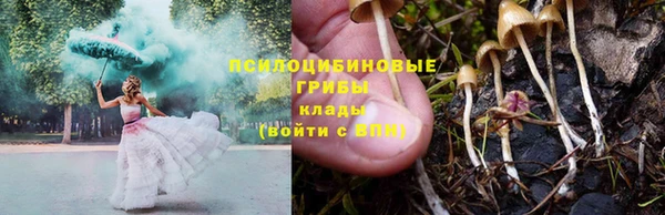 MESCALINE Гусь-Хрустальный