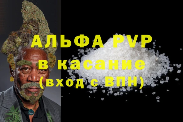 spice Гусев