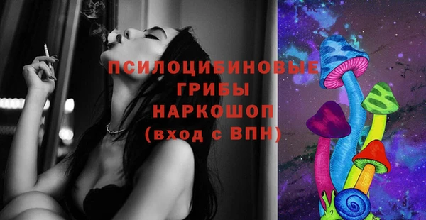 MESCALINE Гусь-Хрустальный