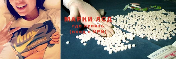 трава Гусиноозёрск