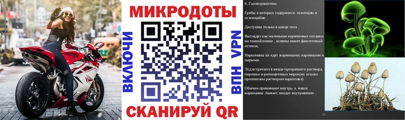 Псилоцибиновые грибы мицелий  Моздок 